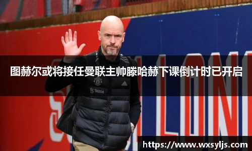 XK体育
