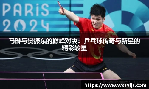 马琳与樊振东的巅峰对决：乒乓球传奇与新星的精彩较量